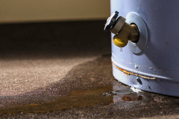 Trusted Wilder, KY Water damage restoration Experts