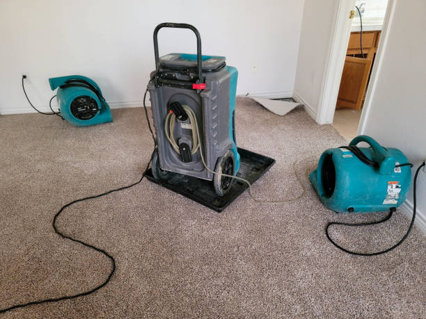 Best Flooded house restoration  in Wilder, KY