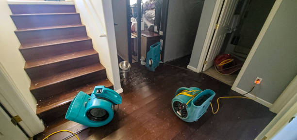 Best Flood damage cleanup  in Wilder, KY