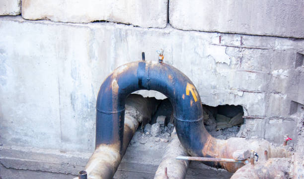 Best Water damage restoration insurance claims  in Wilder, KY