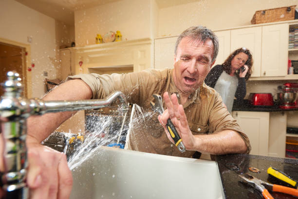 Best Local water damage restoration  in Wilder, KY